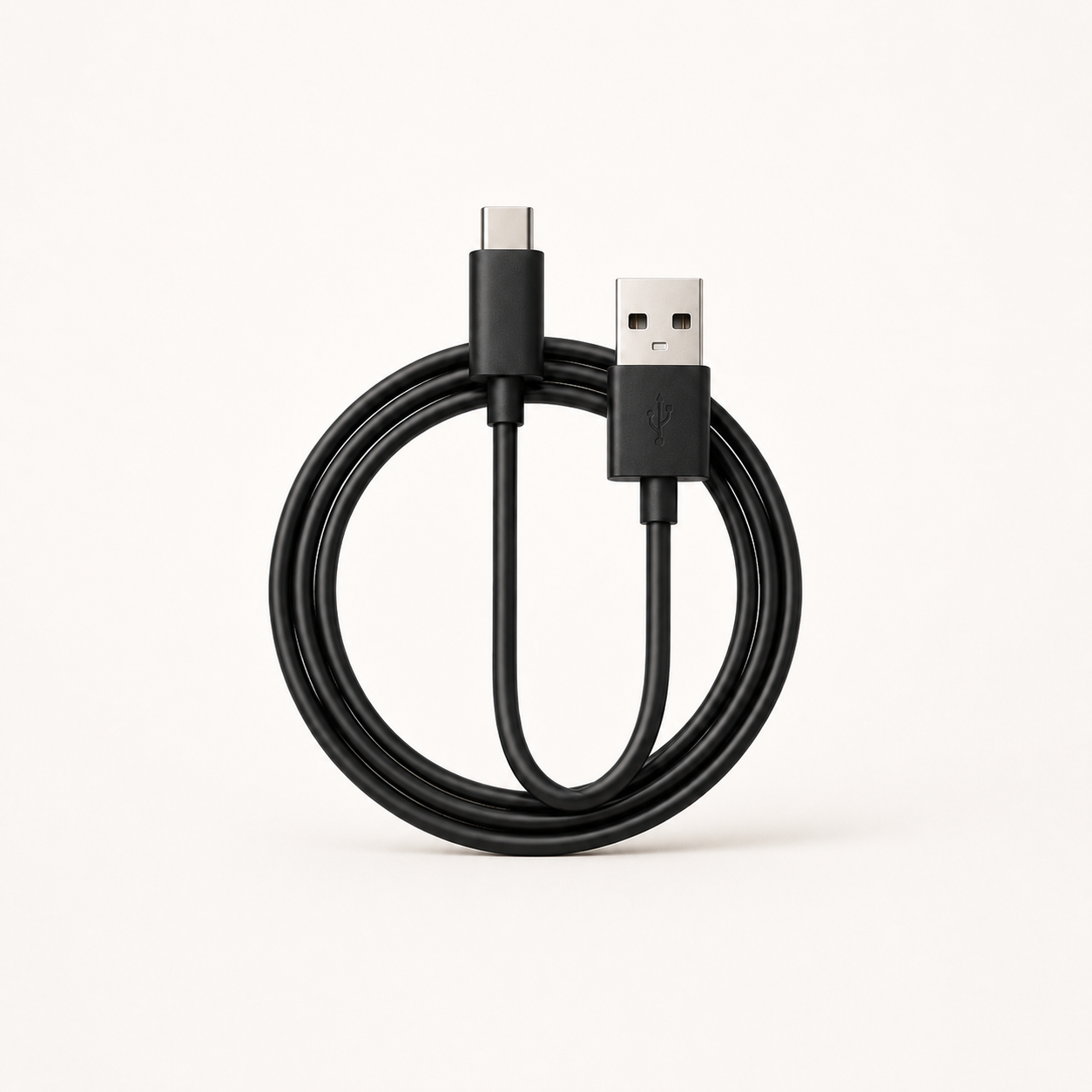 Type C Charger